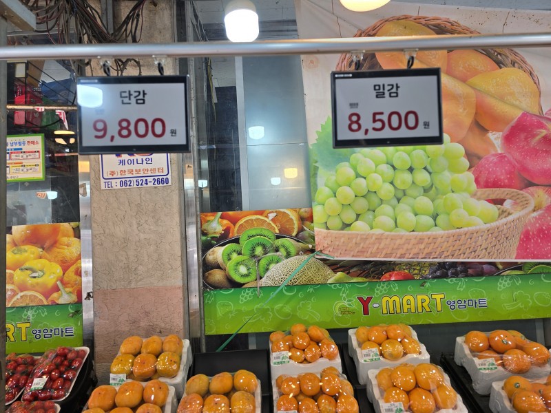 도입사례