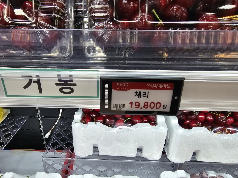 도입 사례