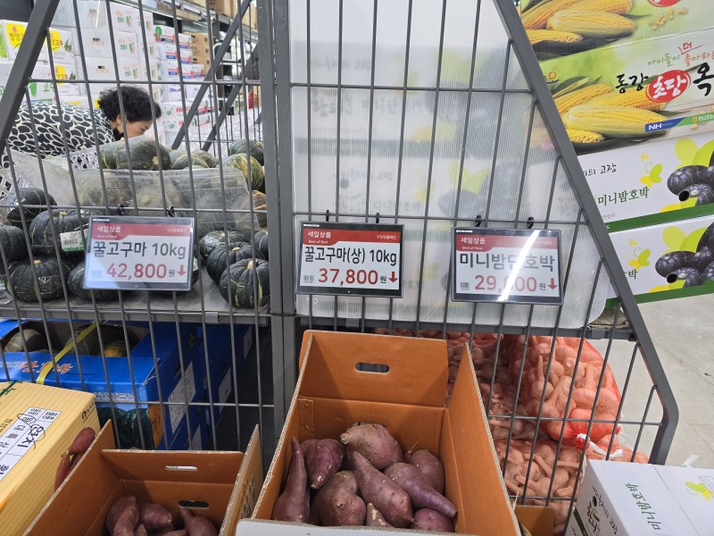 도입 사례